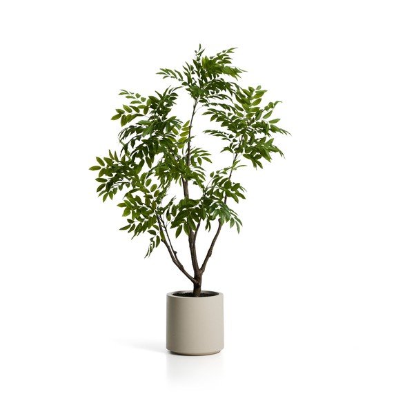 Műnövény (magasság 185 cm) Rhus – Kave Home-image-1