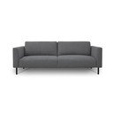 Sötétszürke kanapé 229 cm Hero – Scandic