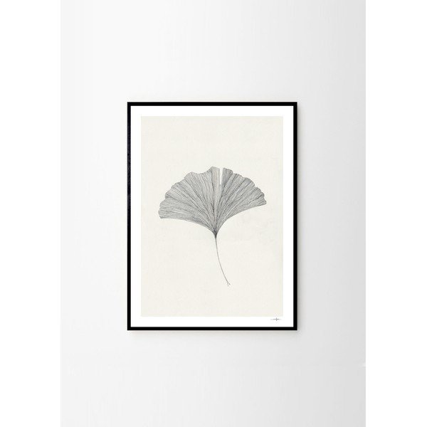 Poszter 50x70 cm Ginkgo Leaf – Ana Frois – The Poster Club-image-3