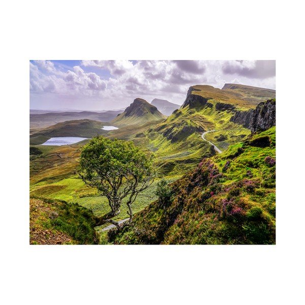 Canvas Scotland Nature fali kép, 85 x 113 cm - Styler-image-1