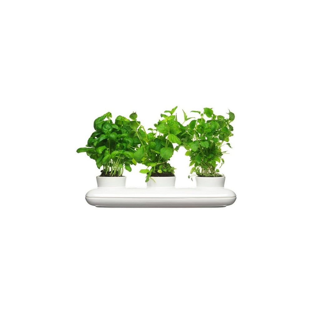 Trio Herb porcelán virágtartó fűszernövényekhez - Sagaform