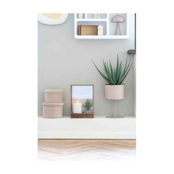 Műnövény (magasság 51 cm) Aloe Vera – House Nordic-image-2