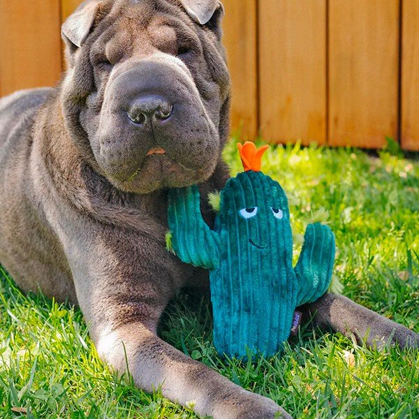 Játék kutyáknak Cactus - P.L.A.Y.-image-1