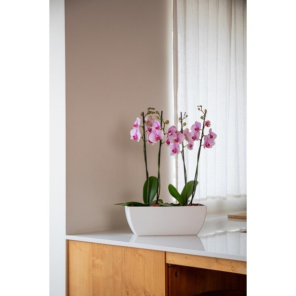 Újrahasznosított műanyag láda 40 cm Siena – Artevasi-image-1