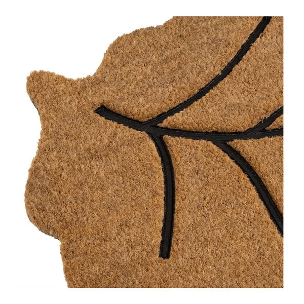 Kókuszrost lábtörlő 45x75 cm Leaf – Casa Selección-image-3