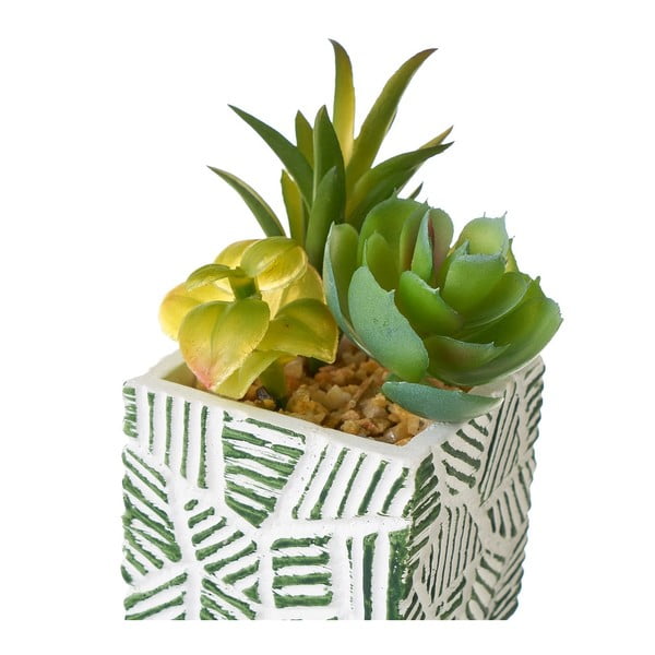 Műnövény szett 3 db-os (magasság 12 cm) Cactus – Casa Selección-image-2
