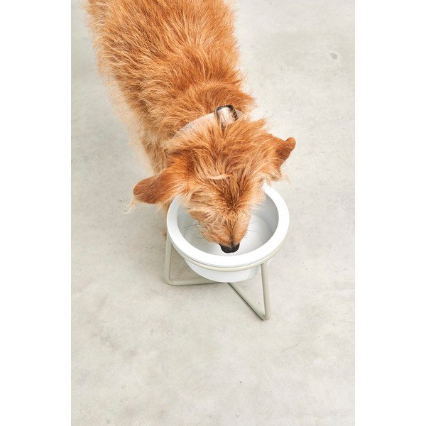 Porcelán tálka állvánnyal kutyáknak ø 20 cm Pranzo Greige M – MiaCara-image-3