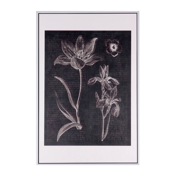 Herb kép, 30 x 60 cm - sømcasa
