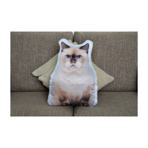 Brit cica párna - Adorable Cushions-image-1