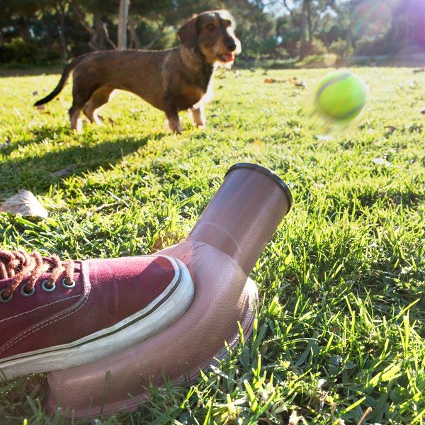 Playdog labdakilövő kutyáknak - InnovaGoods-image-1