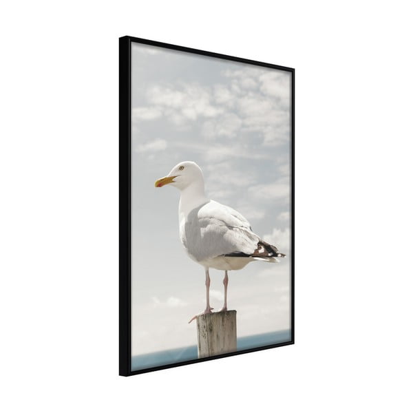 Curious Seagull poszter keretben, 30 x 45 cm - Artgeist