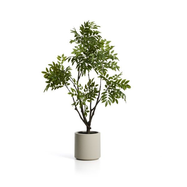 Műnövény (magasság 185 cm) Rhus – Kave Home
