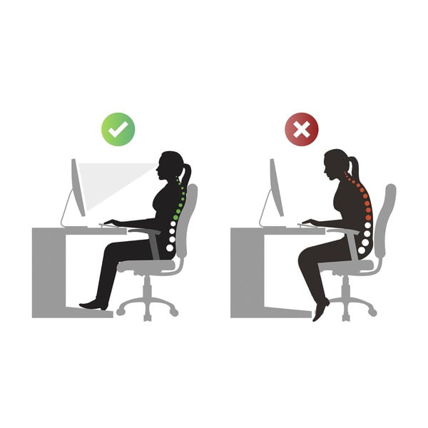 Háttámasztó öv S/M - Maximex-image-3