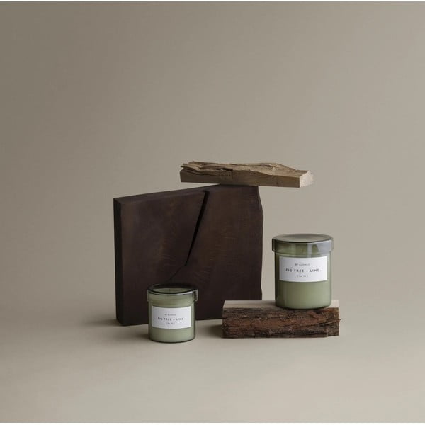 Illatos szójaviasz gyertya, égési idő 45 ó Valoa Fig Tree – Lime – Blomus-image-1