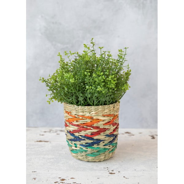 Színes tengerifű kaspó - Kitchen Craft-image-4