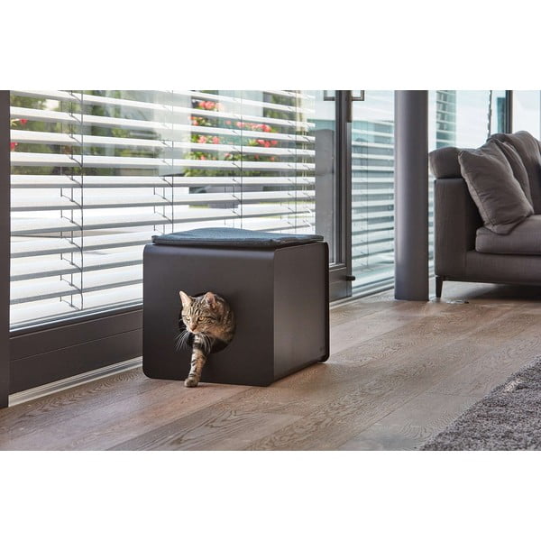 Natúr színű macskatoalett betét szett 5 db-os 34,5x53 cm Sito – MiaCara-image-4