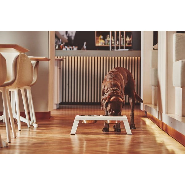 Fém tálka szett állvánnyal kutyáknak Desco White M – MiaCara-image-1