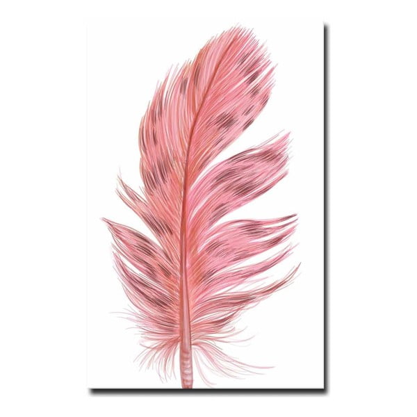 Kép 45x70 cm Feather – Wallity