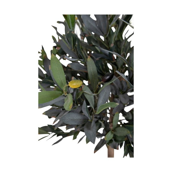 Olajfa műnövény (magasság 126 cm) – House Nordic-image-4