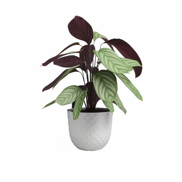 Újrahasznosított műanyag virágcserép ø 30 cm Havana – Artevasi-image-2