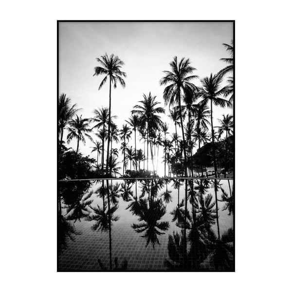 Pool And Palms plakát, 40 x 30 cm - Imagioo