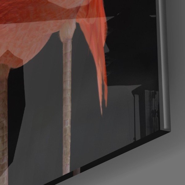 Flamingo üvegezett kép - Insigne-image-3