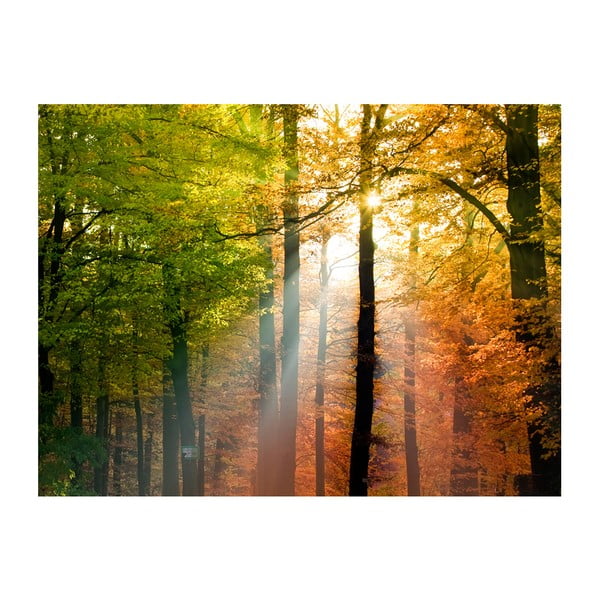 Beautiful Autumn nagyméretű tapéta, 200 x 154 cm - Artgeist