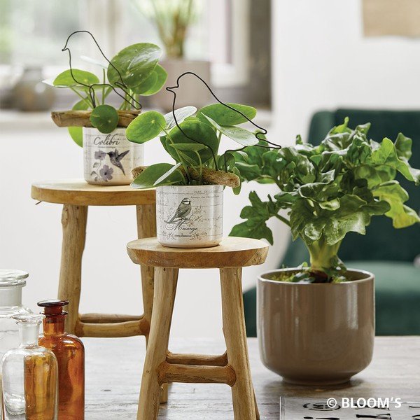 Bari barna kerámia virágcserép, ø 19 cm - Big Pots-image-1