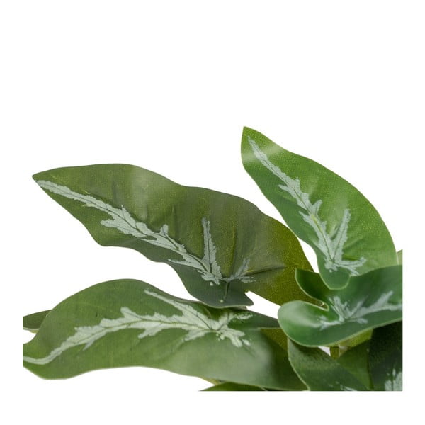 Műnövény (magasság 21 cm) Syngonium – Ixia-image-2