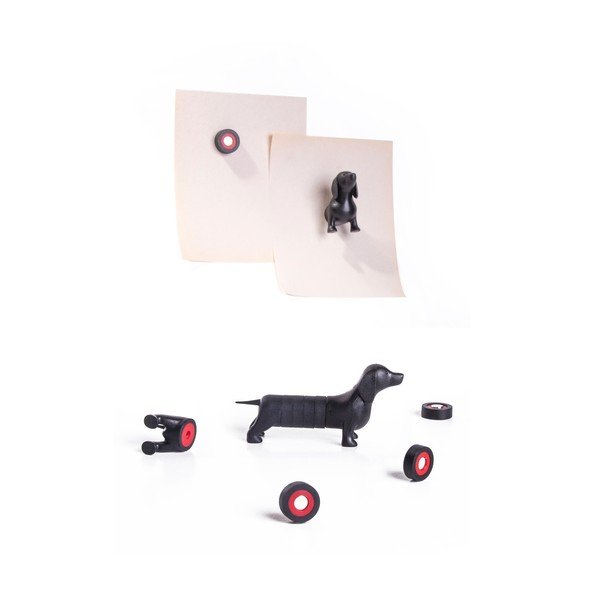 Magnetic Dog mágnes szett, tacskó - Qualy&CO-image-3