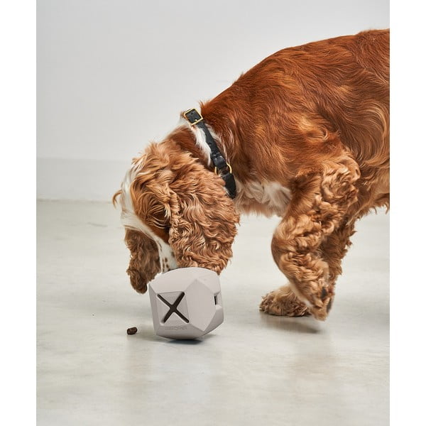 Kutyajáték Dado Greige – MiaCara-image-1