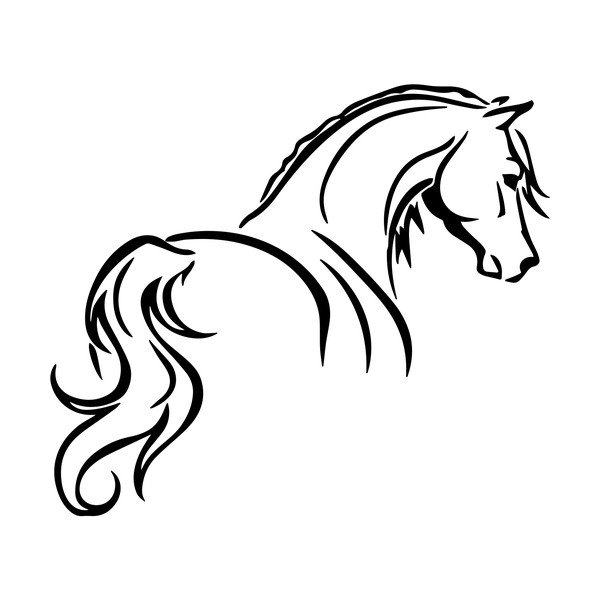 Elegant Horse öntapadós matrica - Fanastick-image-2