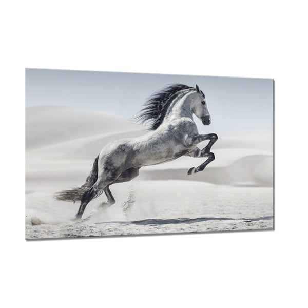 Glasspik Animals Horse fali kép, 80 x 120 cm - Styler