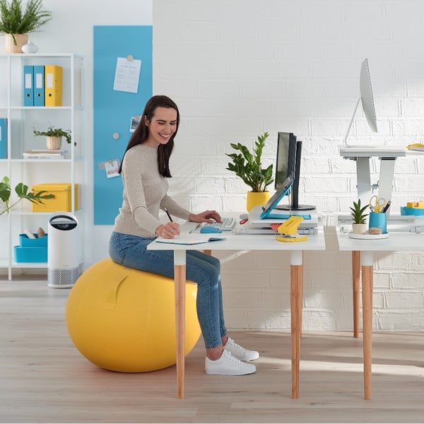 Ergonomikus ülőlabda ø 65 cm Ergo – Leitz-image-4