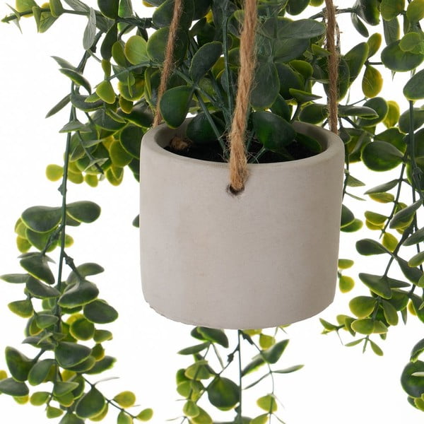 Művirág Fern – Casa Selección-image-1