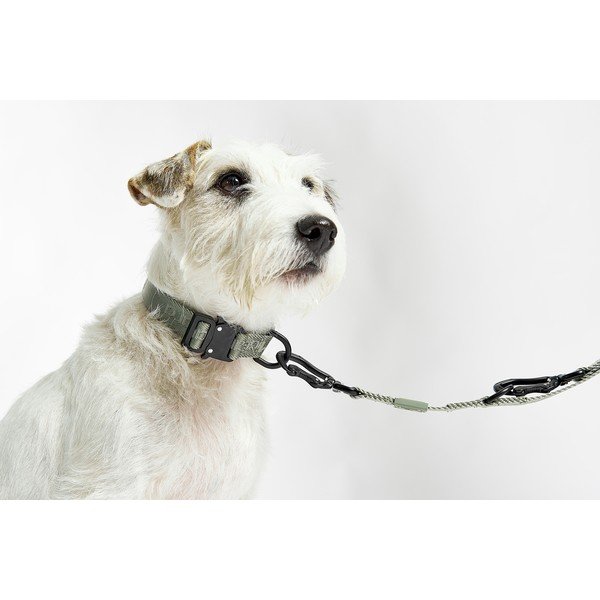 Sötétszürke nyakörv L/XL hosszúság 40 cm Modena Asphalt L/XL – MiaCara-image-1