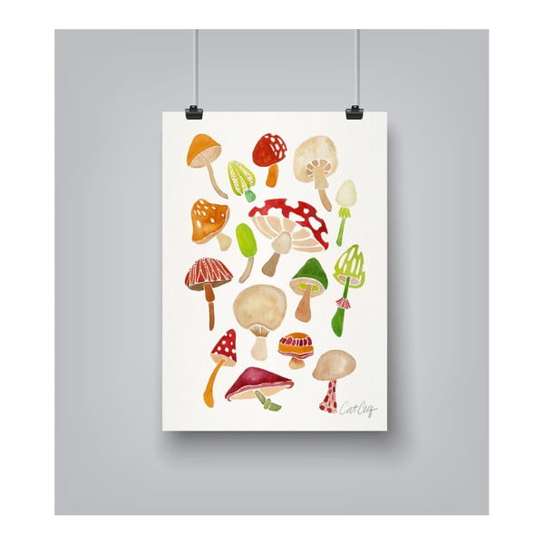 Mushrooms by Cat Coquillette 30 x 42 cm-es plakát