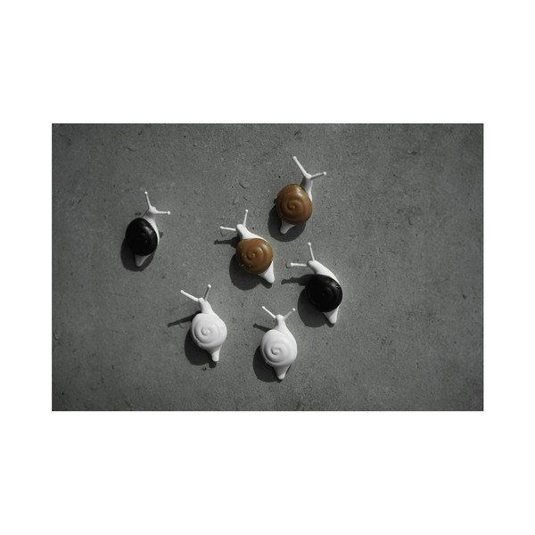 Snail 6 db mágnes - Qualy&CO-image-3