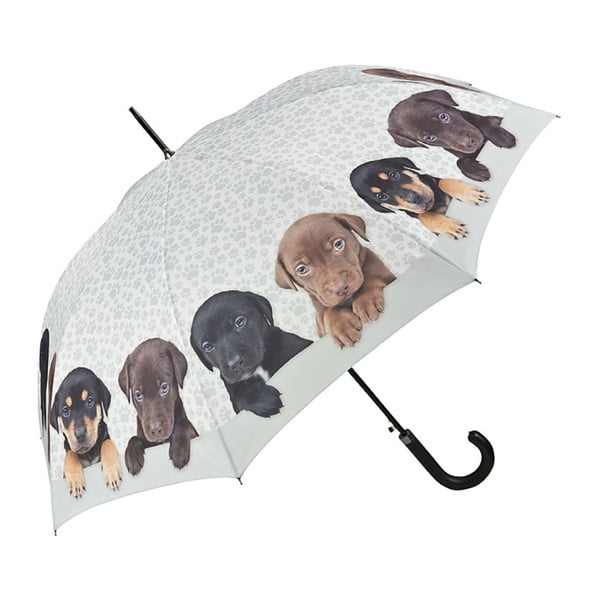 Puppies Quarter botesernyő - Von Lilienfeld