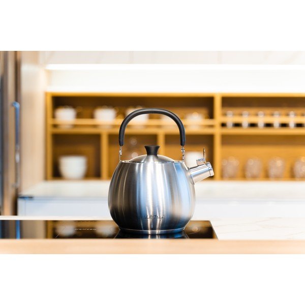 Bolla ezüstszínű vízforraló rozsdamentes dugattyúval, 2,5 l - Vialli Design-image-1