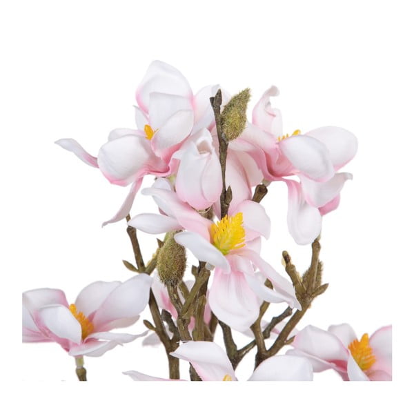 Művirág (magasság 41 cm) Magnolia – Ixia-image-2