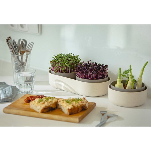 Csíráztató tálka, ø 16 cm Regrow - Plastia-image-4