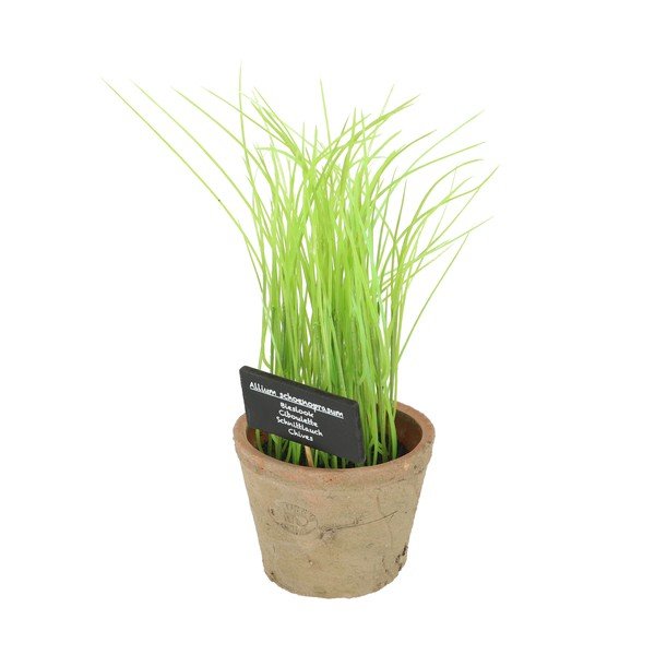 Műnövény (magasság 27 cm) Chives – Esschert Design-image-1