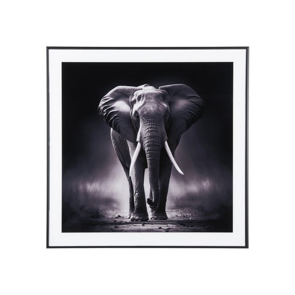 Kép 50x50 cm  Elephant  – PT LIVING