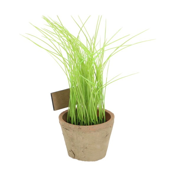 Műnövény (magasság 27 cm) Chives – Esschert Design-image-3