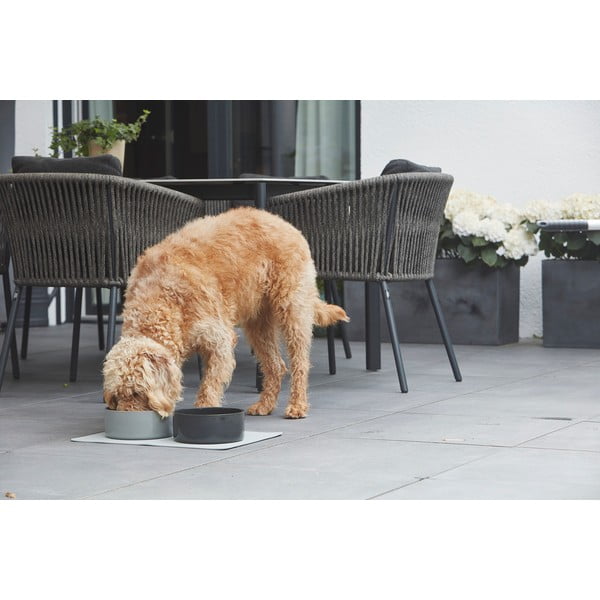 Porcelán tálka kutyáknak ø 20 cm Scodella Graphite M/L – MiaCara-image-1