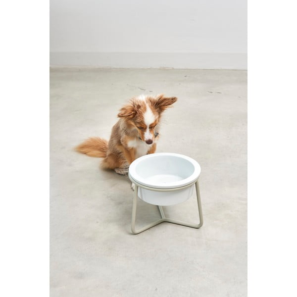 Porcelán tálka állvánnyal kutyáknak ø 20 cm Pranzo Greige M – MiaCara-image-1