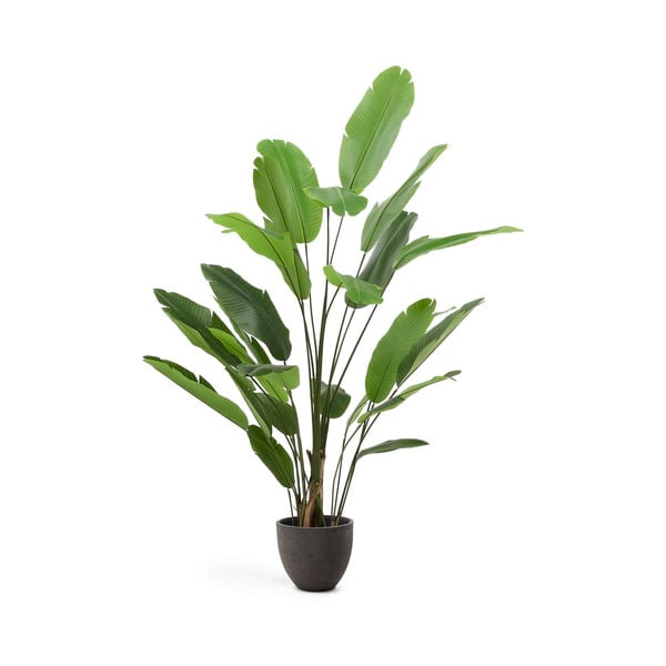 Banánfa műnövény (magasság 210 cm) – Kave Home