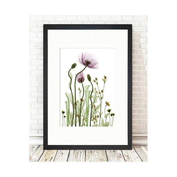 Wild Plants kép, 24 x 29 cm - Tablo Center-image-1