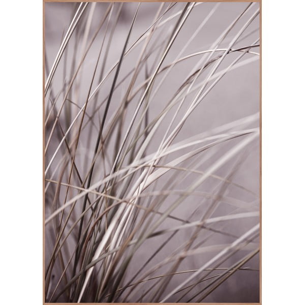 Keretezett poszter 50x70 cm Mellow Grasses 1 – Malerifabrikken